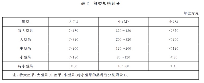 表2.jpg