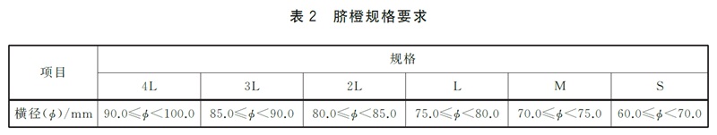 表2.jpg