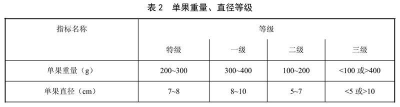表2.jpg