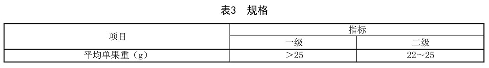 表3.jpg