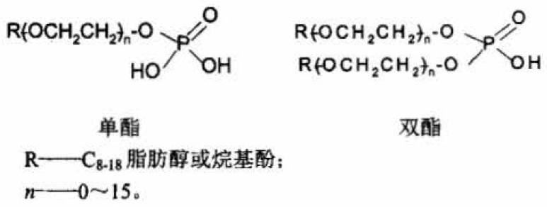 非凡国际(中国区)-官方网站
